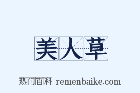 美人草是什么意思的图片